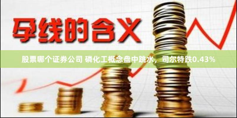 股票哪个证券公司 磷化工概念盘中跳水，司尔特跌0.43%