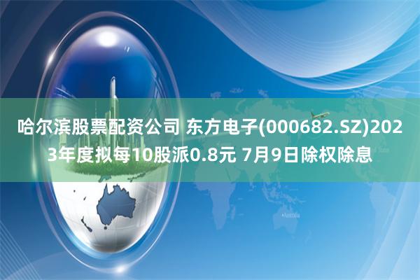 哈尔滨股票配资公司 东方电子(000682.SZ)2023年度拟每10股派0.8元 7月9日除权除息