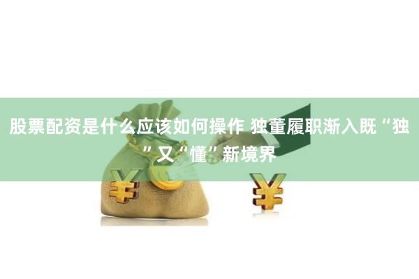 股票配资是什么应该如何操作 独董履职渐入既“独”又“懂”新境界